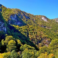 Начало осени в горах Сербии :: SergAL 