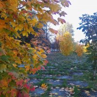 Пейзаж в красках осени :: Стас Борискин (STArSphoto)