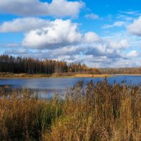 Моя Смоленщина. :: Милешкин Владимир Алексеевич 