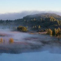 Утро :: Виктор Желенговский