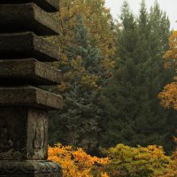 Японский сад :: MaryBerry 