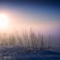 Про морозный туман :: Сергей Шабуневич
