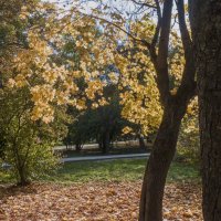 Осень в парке :: Валентин Семчишин