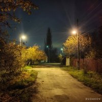 Улица старых фонарей :: Сергей 