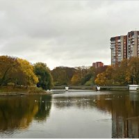Осень в городе. :: Валерия Комова