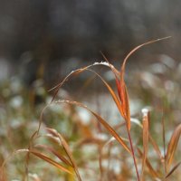 Осеннее :: Евгений 