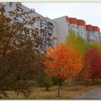 Палитра Осени :: Сеня Белгородский