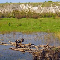 Средне-русская возвышенность :: Сеня Белгородский