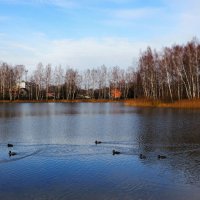 Осенний деревенский пейзаж (репортаж из поездок по области). :: Милешкин Владимир Алексеевич 