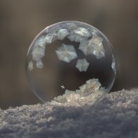 Мыльный пузырь :: Андрей Пристяжнюк