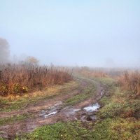 Осенний туман :: Константин 