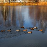 На снимке есть одинокий рыбак. :: Милешкин Владимир Алексеевич 