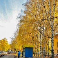 Осень. Пейзаж с голубой будкой :: Александр Семенов