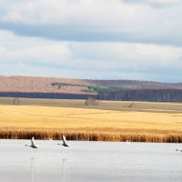 ..... :: Татьяна Перегудова 