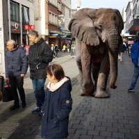 по улицам слона водили.... :: Нестер Крылов 