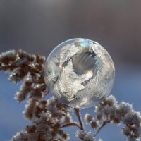 Пузырь :: Андрей Пристяжнюк