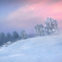 Волшебство зимы :: Сергей Шабуневич