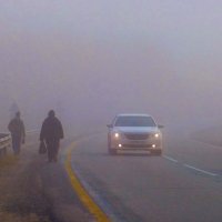 Сентябрь...Дачники в тумане! :: Владимир 