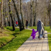 Осенние прогулки. :: Петр Беляков