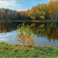 В парке Сосновка :: Любовь Зинченко 