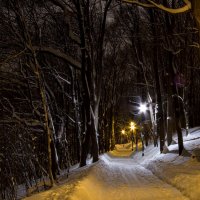 Светили в парке фонари :: Олег Денисов