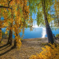 Золотая осень :: Vladimbormotov 