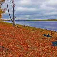 Река Обь, рыбацкие кострища на берегу :: Владимир 