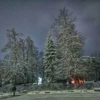 Первый снег :: Алексей Архипов