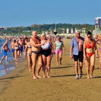 Каждый день туды-сюды или пляжное шествие германских пенсионеров... :: Sergey Gordoff