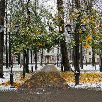 Городской сад после снегопада. :: Милешкин Владимир Алексеевич 