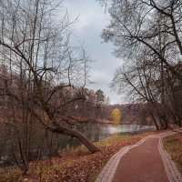 В осеннем парке... :: Сергей Кичигин