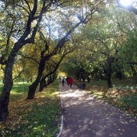 Осень в парке Коломенском. :: Владимир Драгунский