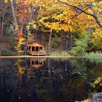 Осень на Черепаховом озере :: Ольга Голубева