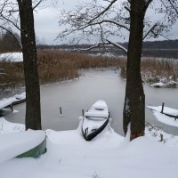 У озера/Белые Берега/ноябрь :: Евгений 