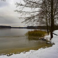 Озеро в Белых Берегах/ноябрь :: Евгений 