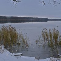 Белобережское озеро. Ноябрь :: Евгений 