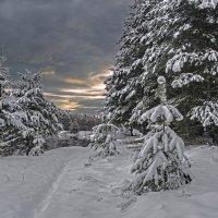 В ноябре. :: Александр Иванович 