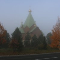 В осеннем тумане :: Ольга 