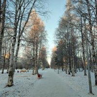Вот и зима! :: Елена Байдакова