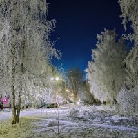 Так выглядит сейчас мой двор :: Николай Зиновьев