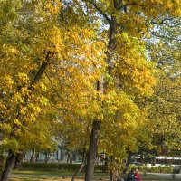 Осень в парке  Тренёва :: Валентин Семчишин