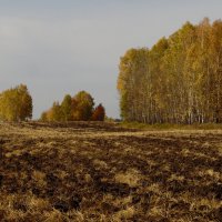 Осень,поля опустели. :: nadyasilyuk Вознюк