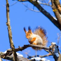 У каждого своя ! :: Олег Денисов