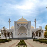 Мечеть "Гордость мусульман" в Шали. Чечня. :: Дина Евсеева