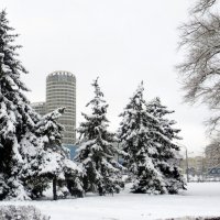 Зима в городе :: Ирина Олехнович