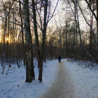 Вполне настоящая зима :: Андрей Лукьянов