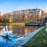 Два лебедя на Патриарших :: Юлия Батурина