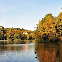 Осень на озере :: Валерий Перевозчиков