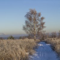 Зимнее утро :: Сергей Цветков