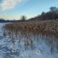 Второй день зимы :: Андрей Лукьянов
